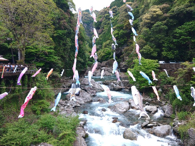 f:id:verver650:20260509233058j:image