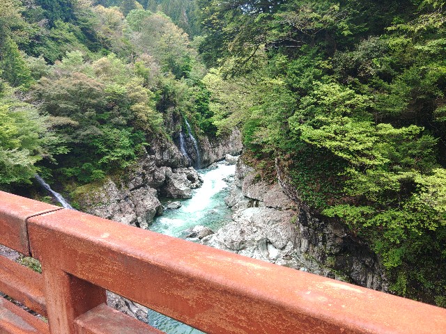 f:id:verver650:20260512121717j:image