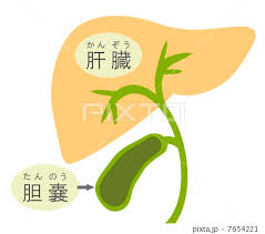 f:id:veryray:20160621230030j:plain f:id:veryray:20160621230030j:plain