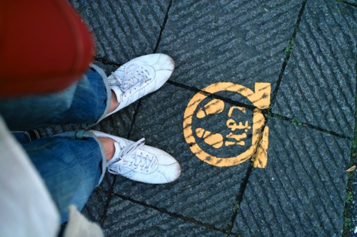 f:id:vesikukka:20101124022835j:image