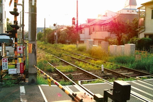 f:id:vesikukka:20101125233210j:image