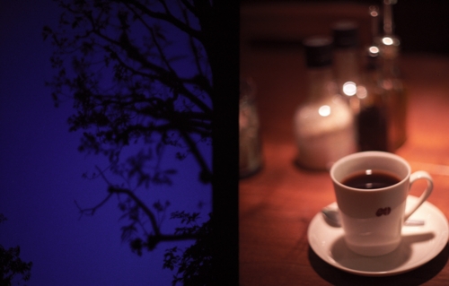 f:id:vesikukka:20101210001600j:image