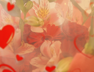 f:id:vesna:20120401133605j:image
