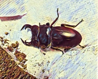 f:id:vespamandarinia:20161231140317j:plain f:id:vespamandarinia:20161231140317j:plain