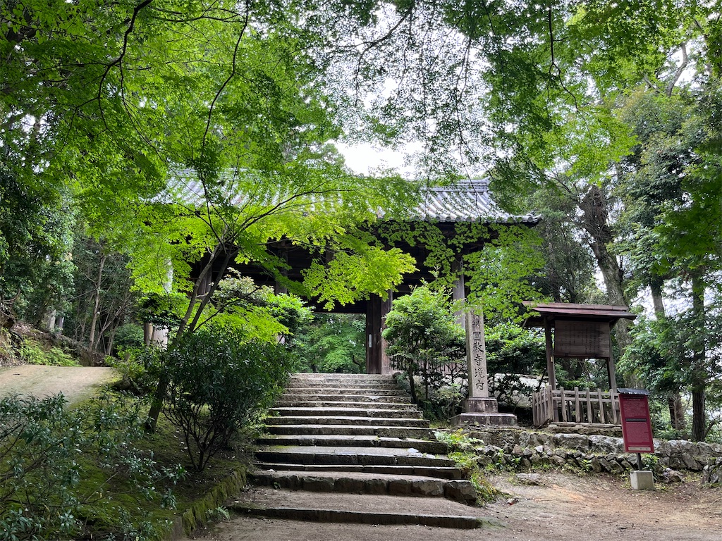 f:id:vespermoon:20260622193430j:image f:id:vespermoon:20260622193430j:image