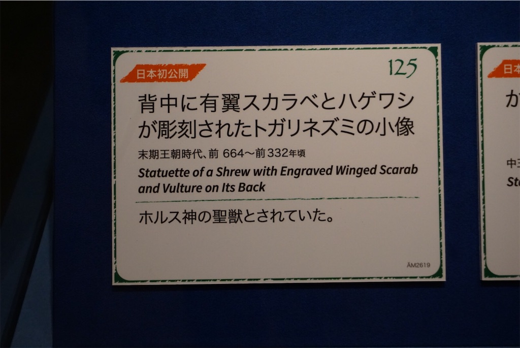 f:id:vessels:20210103145614j:image f:id:vessels:20210103145614j:image