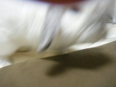20090110071539