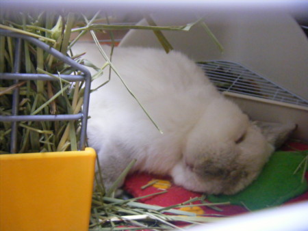 20090117161053