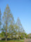 20090429153219