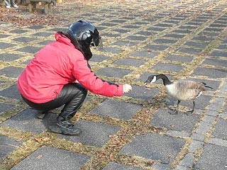 f:id:vfr750f2:20091228212412j:plain