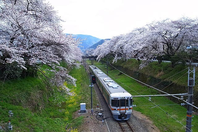 f:id:vfr750f2:20120408185252j:plain