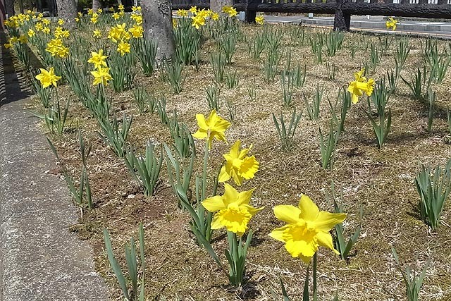 f:id:vfr750f2:20120408185255j:plain