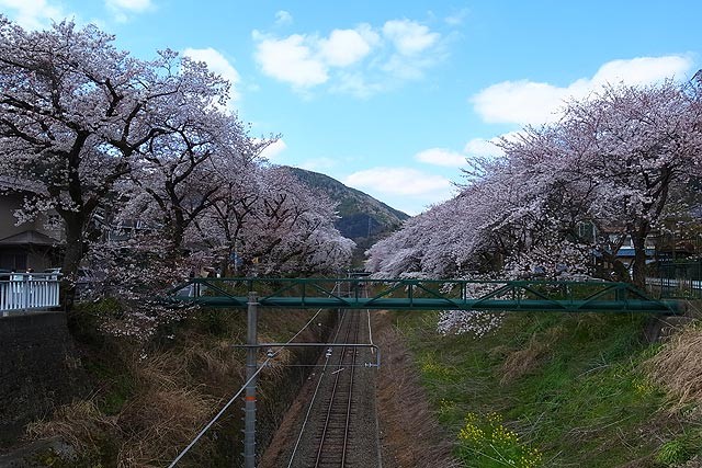 f:id:vfr750f2:20120408213056j:plain