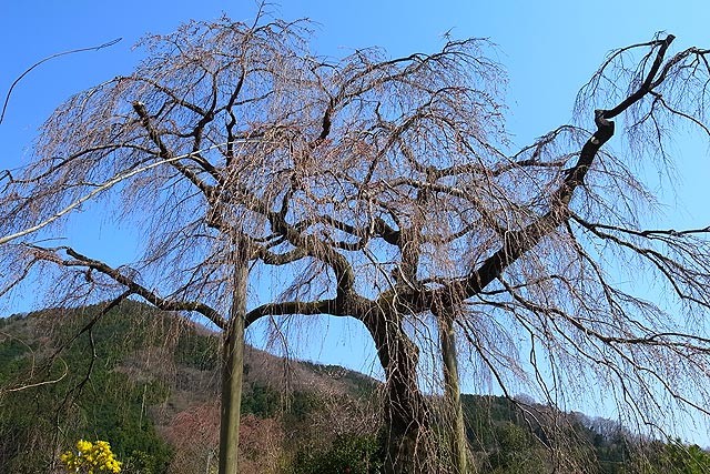 f:id:vfr750f2:20120408213058j:plain