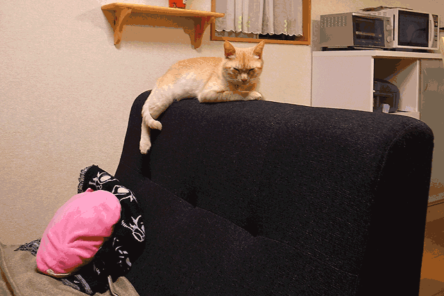 f:id:vfr750f2:20130629155258g:plain