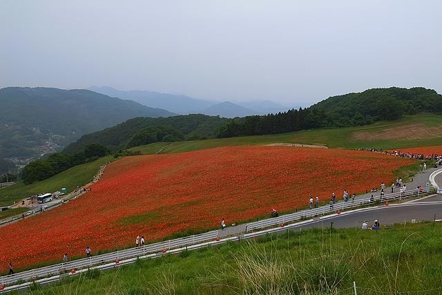 f:id:vfr750f2:20140525184517j:plain
