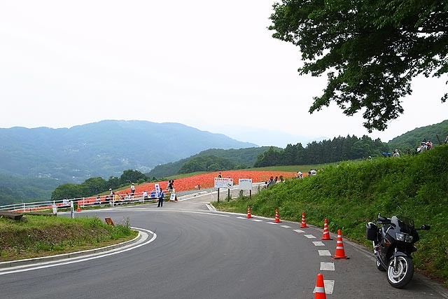 f:id:vfr750f2:20140527231435j:plain
