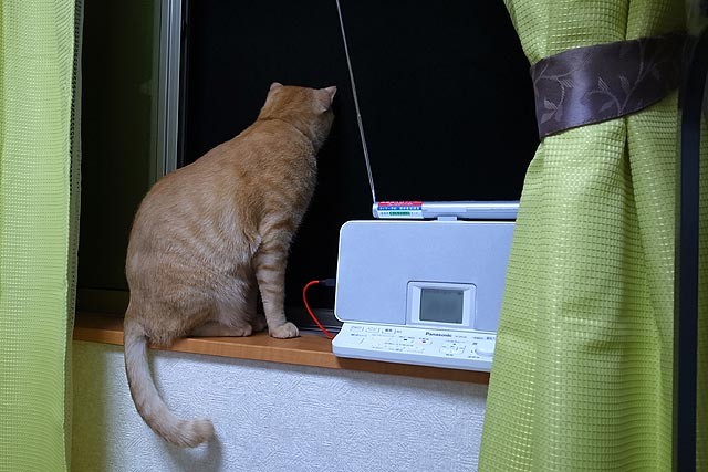 f:id:vfr750f2:20160511234815j:plain