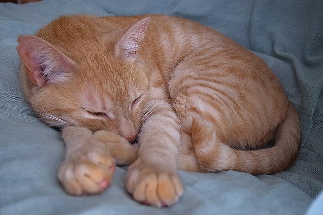 f:id:vfr750f2:20160511234816j:plain