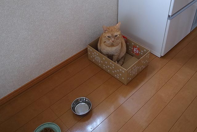 f:id:vfr750f2:20160817114122j:plain