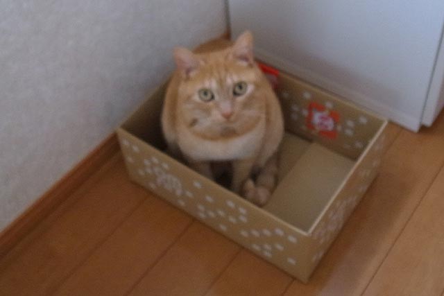 f:id:vfr750f2:20160817114123j:plain