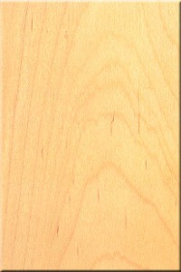 f:id:vgbd:20191113115749j:image