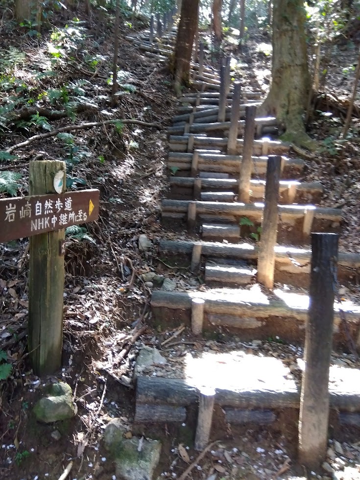 岩崎自然歩道から豊橋自然歩道へ出る急階段