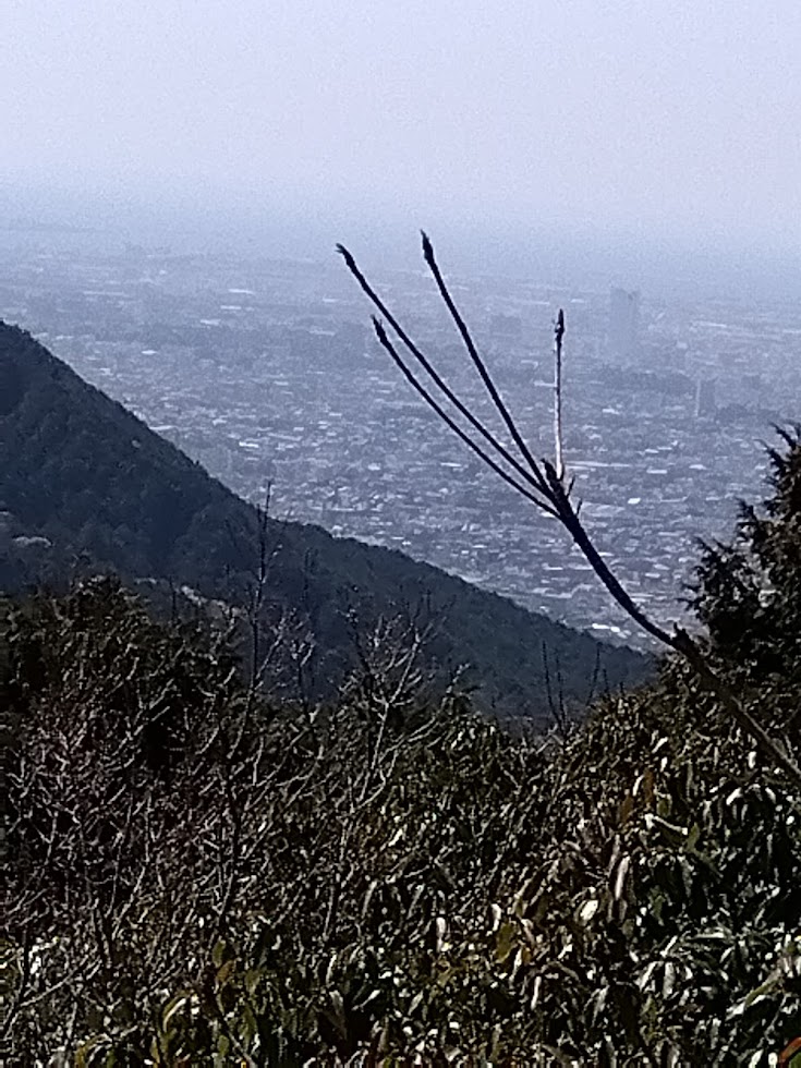 登ったところから見えた豊橋市街地