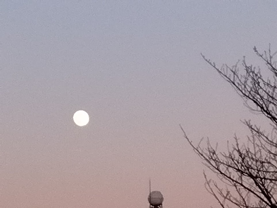 満月前日の月
