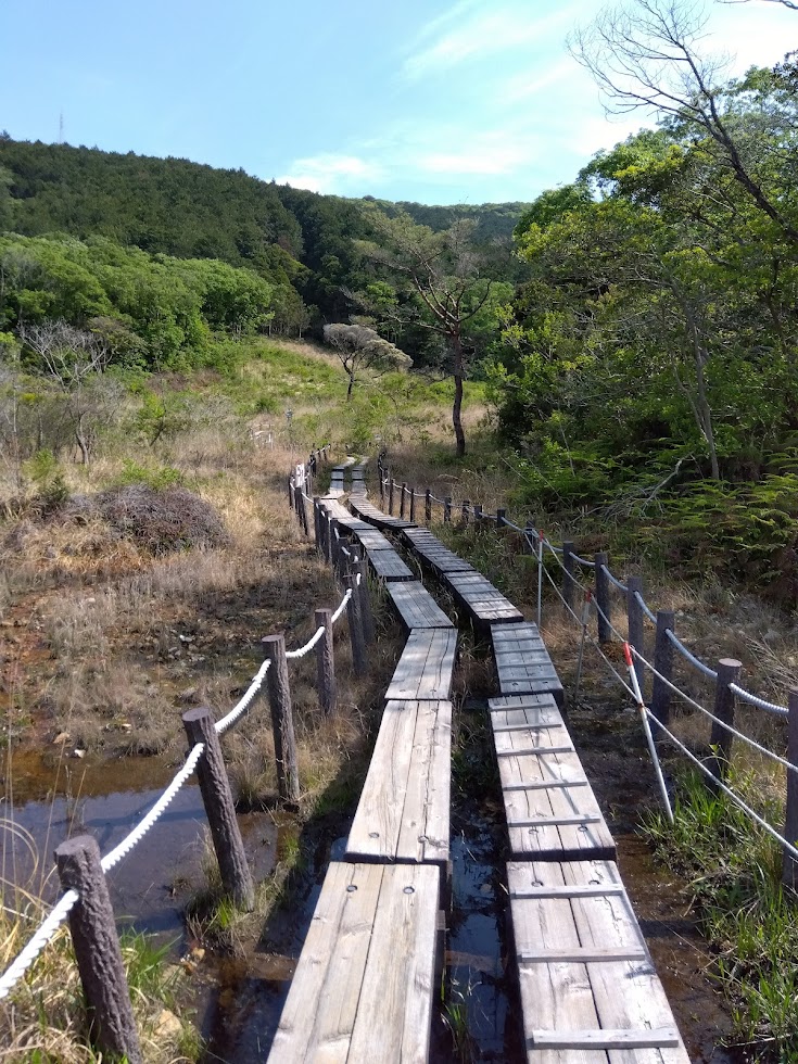 葦毛湿原です！