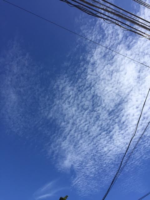 f:id:viaco:20160910000411j:plain f:id:viaco:20160910000411j:plain