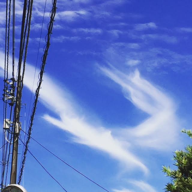 f:id:viaco:20160910000439j:plain f:id:viaco:20160910000439j:plain