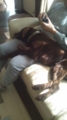 20110313130333