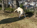 20121206091455