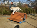20121206091805