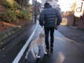 20121206092213