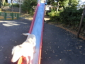 20121206092958