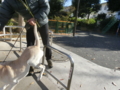 20121206093302