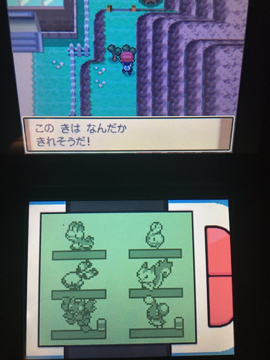 ポケットモンスター プラチナ その2 ハクタイシティの冒険 ウツボよおどれ