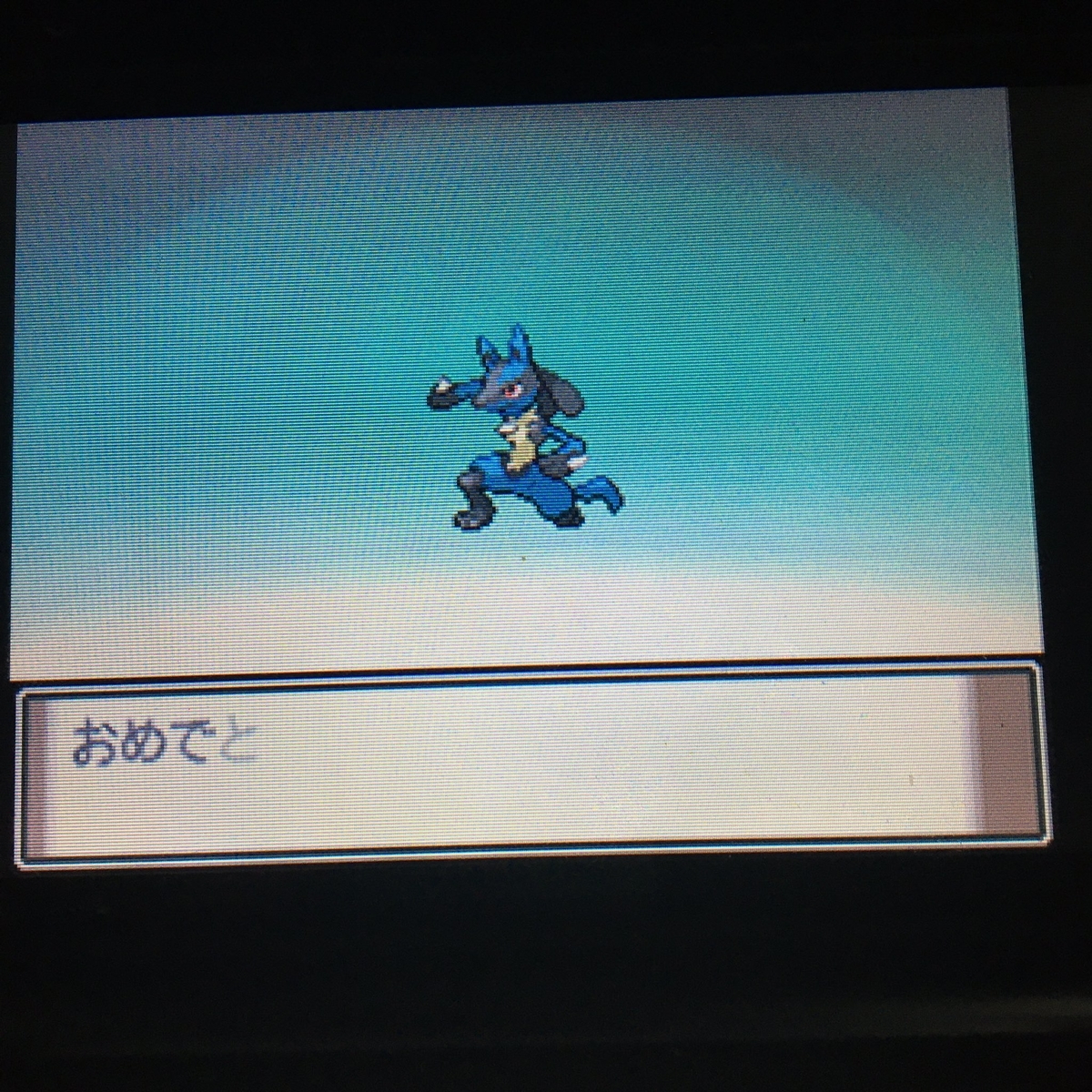 ポケットモンスター プラチナ その9 なついてほしくて 夏 ウツボよおどれ ポケットモンスター プラチナ その9 なついてほしくて 夏 ウツボよおどれ