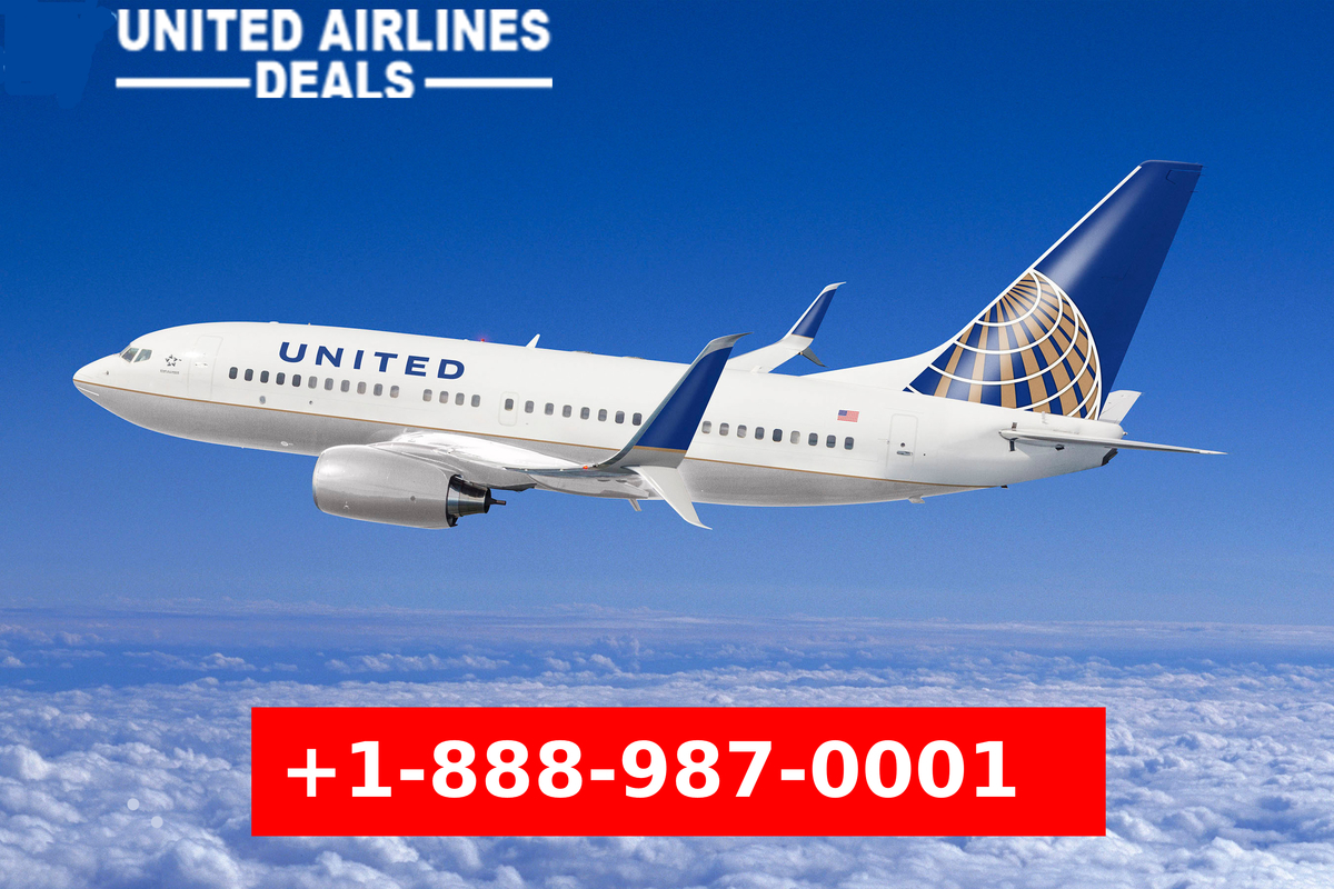 +18889870001 Cheap Flights to Florida With United Airlines