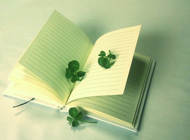 f:id:vidro-man:20190614212837j:plain