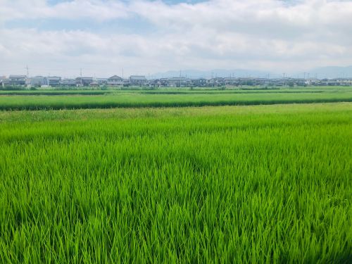 f:id:vidro-man:20190710235604j:plain