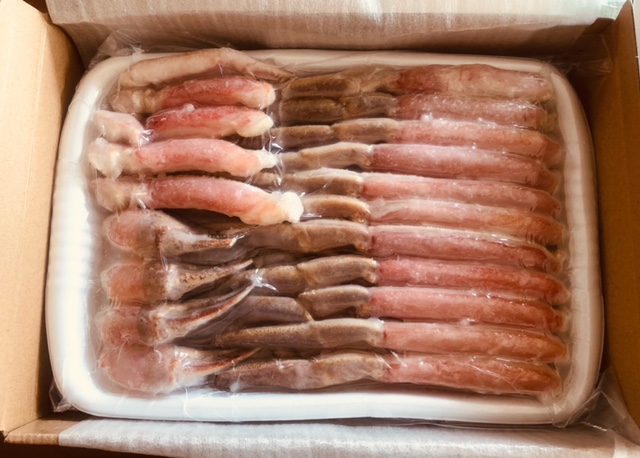 f:id:vidro-man:20201215072340j:plain