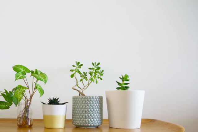 f:id:vidro-man:20210614062630j:plain