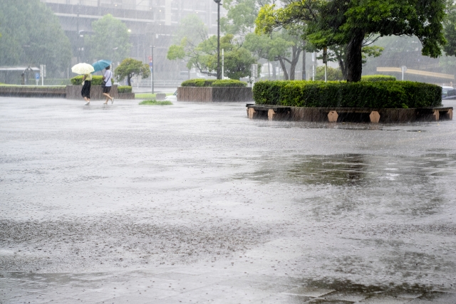 f:id:vidro-man:20210715091341j:plain