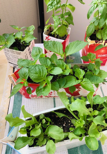 f:id:vidro-man:20210717122516j:plain