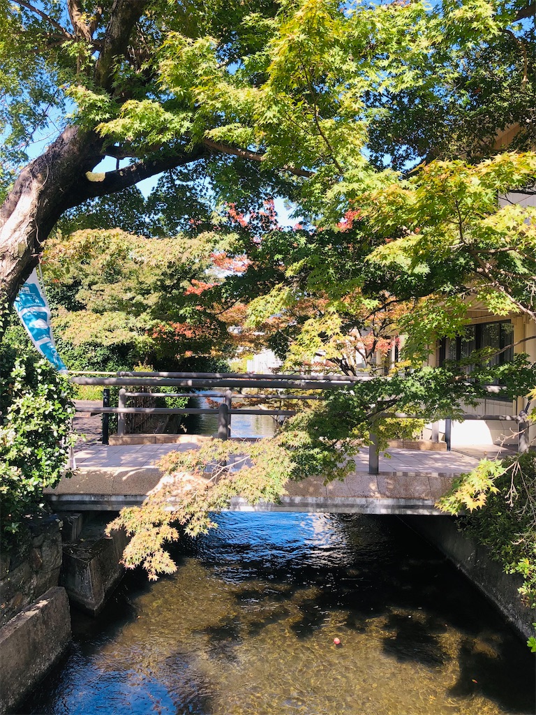 f:id:vidro-man:20211023153236j:image