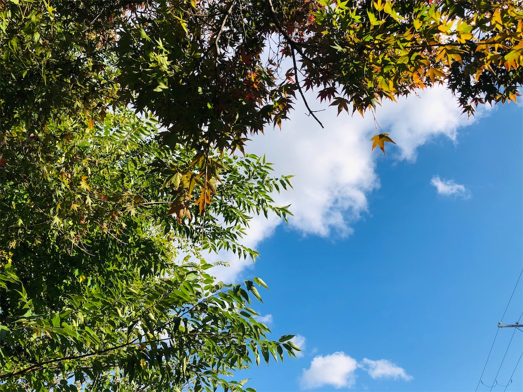 f:id:vidro-man:20211023173349j:image