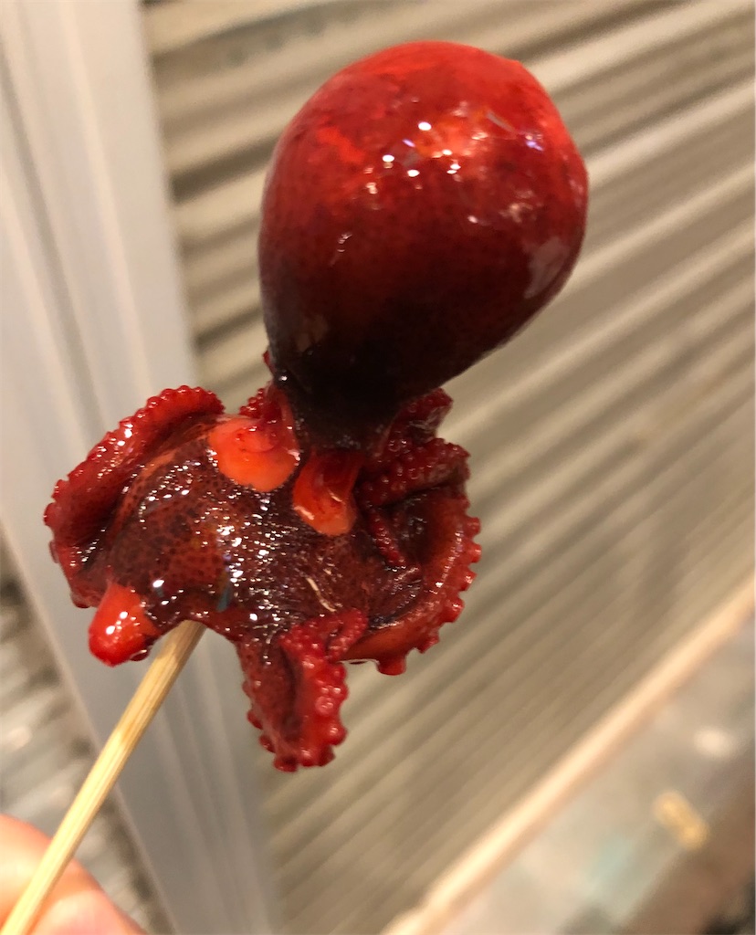 f:id:vidro-man:20211206092851j:image